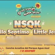 noticia