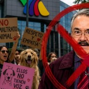 noticia