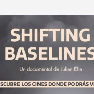 noticia