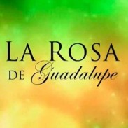 noticia